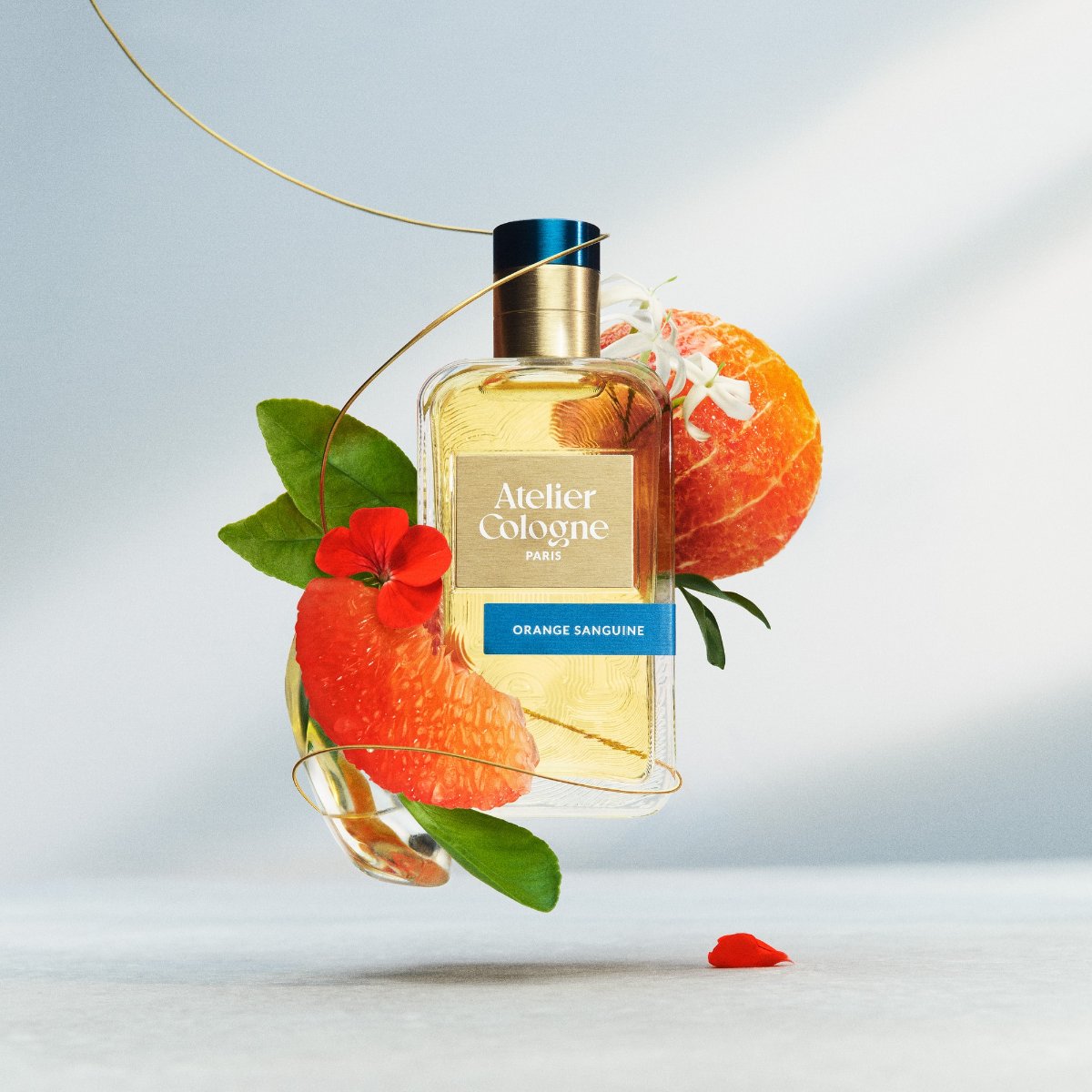 【免費領取合集】THE WHOO、NIVEA、Atelier Cologne、SABON等7大品牌（內含登記連結）