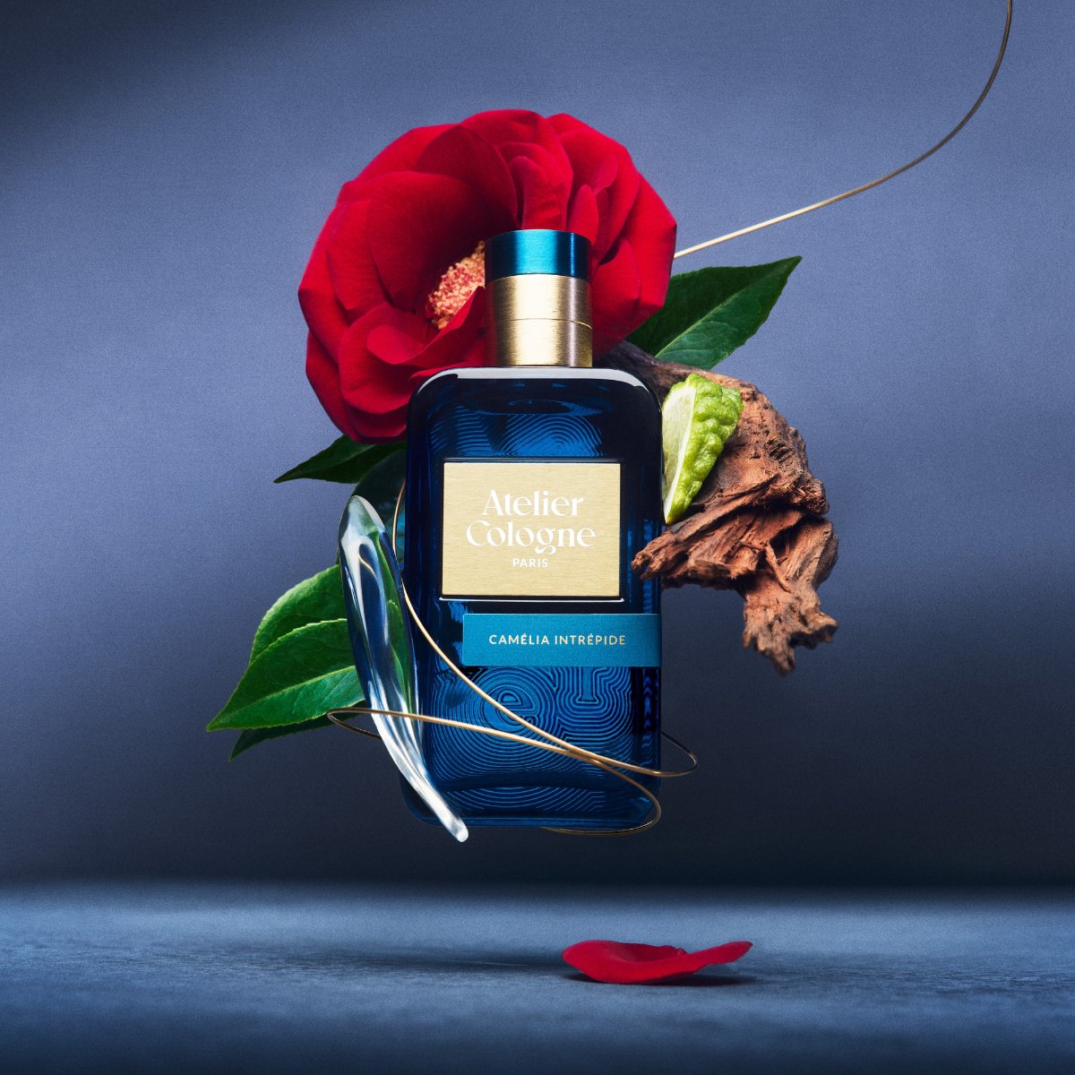 【免費領取合集】THE WHOO、NIVEA、Atelier Cologne、SABON等7大品牌（內含登記連結）