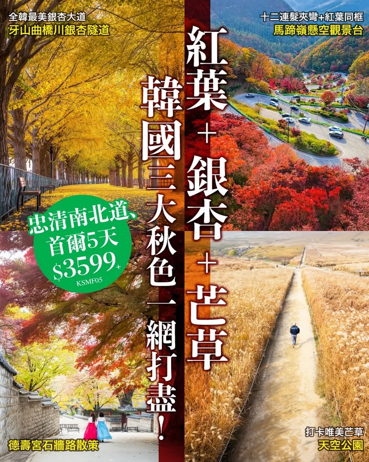$3599+韓國三大秋色一網打盡 一次過睇晒俗離山紅葉牙山金黃銀杏隧道+天空花園季節限定 紫芒草海 即睇詳情及報名： 秋天去韓國真係隨意影相都靚到爆，不過韓國咁多地方，頭痕緊去邊度好，嚟呢度就啱。