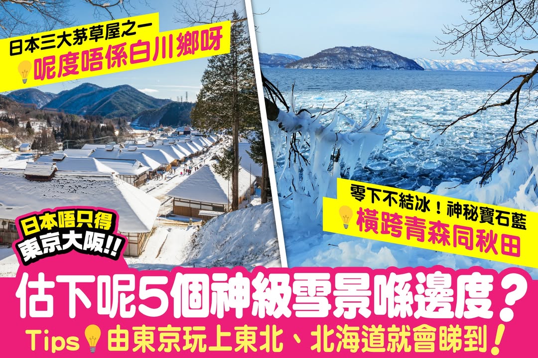 $10，零下不結冰，交畀 啦，問東瀛遊。